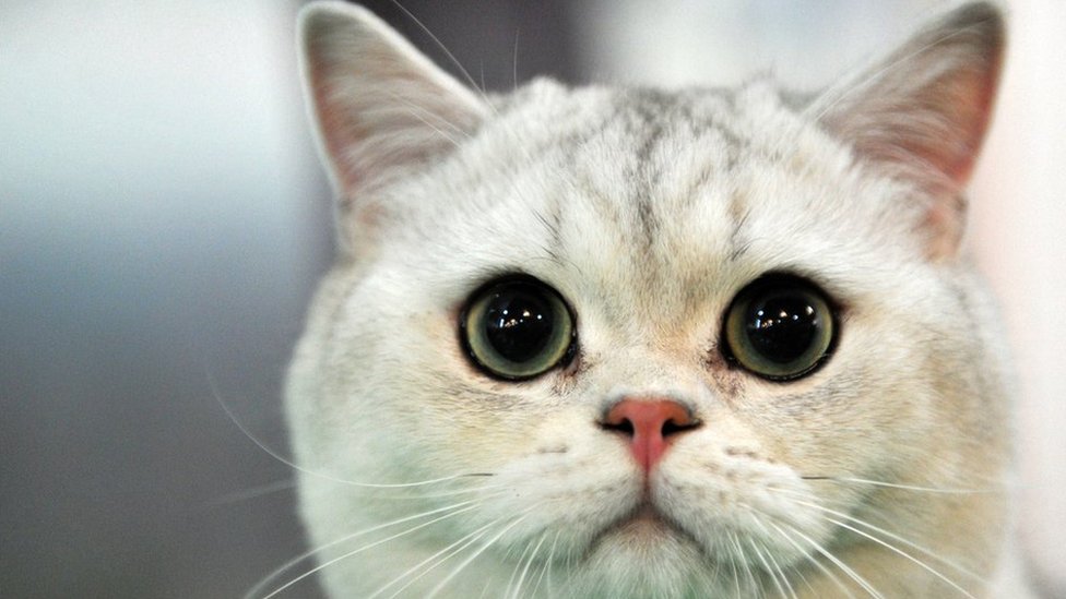 Siber Güvenlik: Şifre ve İki Faktörlü Doğrulama